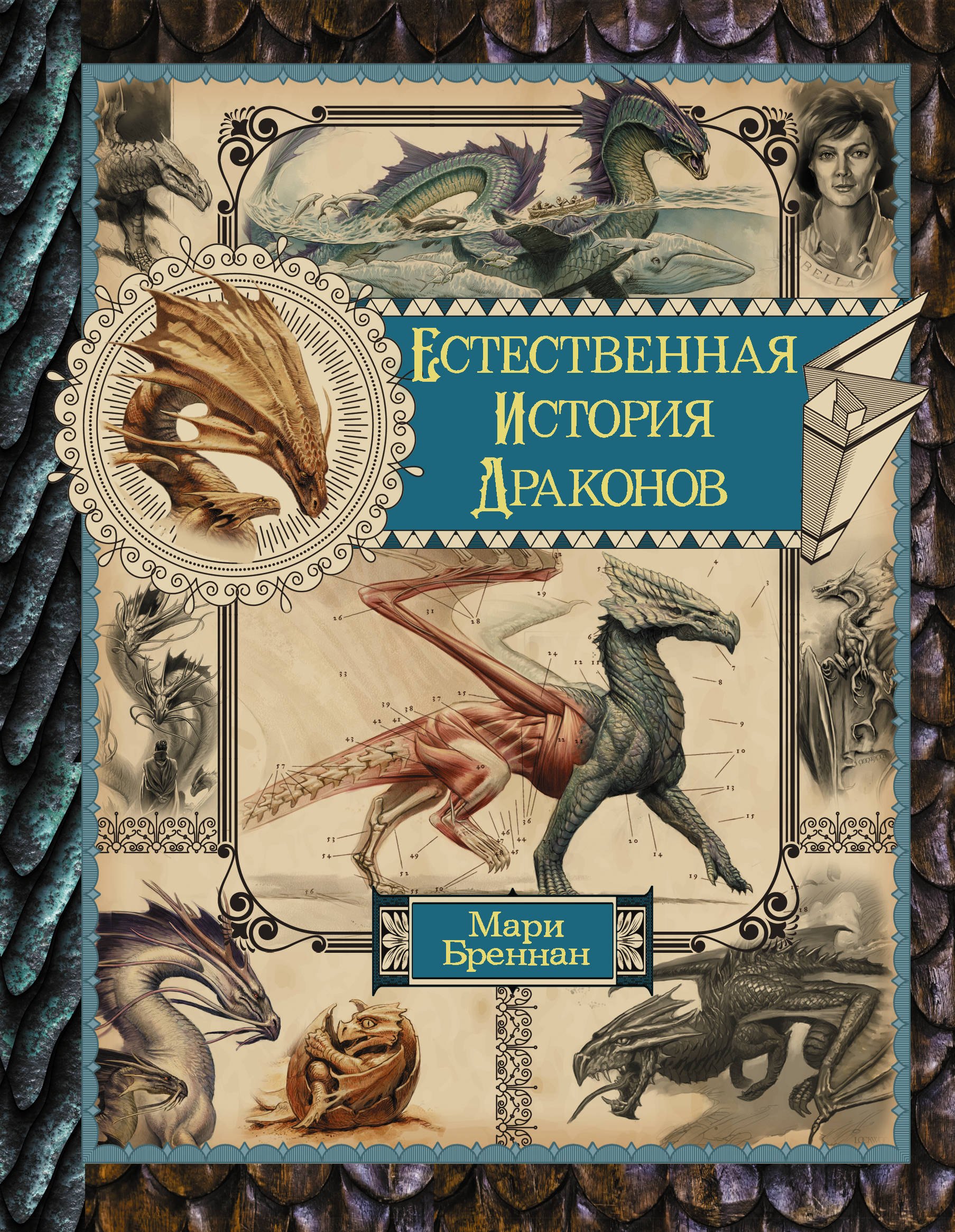 бреннан мари естественная история драконов Естественная история драконов. Мемуары леди Трент