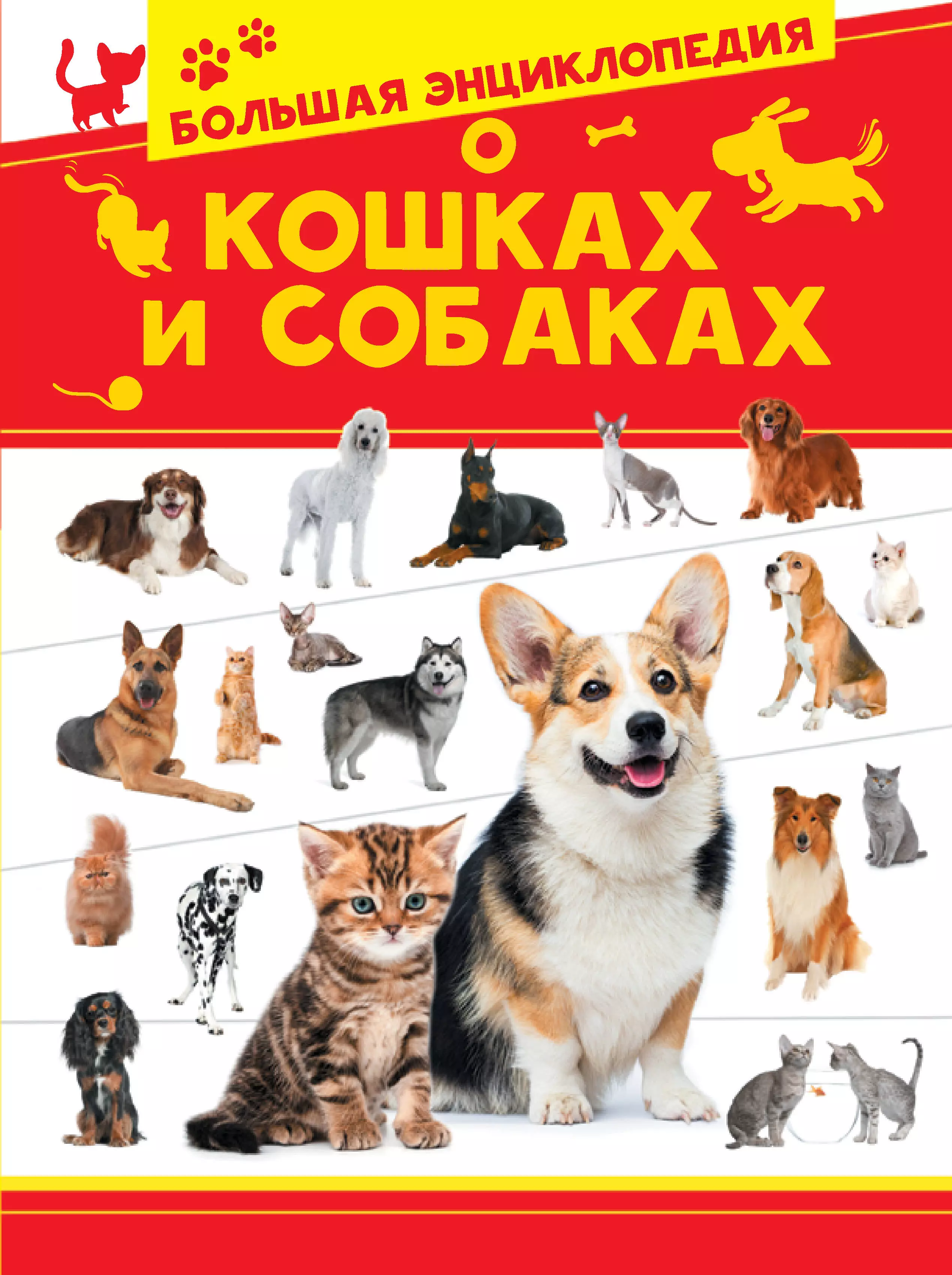 Большая энциклопедия о кошках и собаках энциклопедия о собаках все о собаках