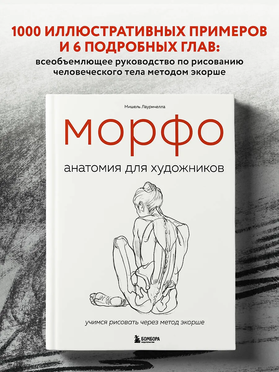 МОРФО. Анатомия для художников (Мишель Лауричелла) - купить книгу с ...
