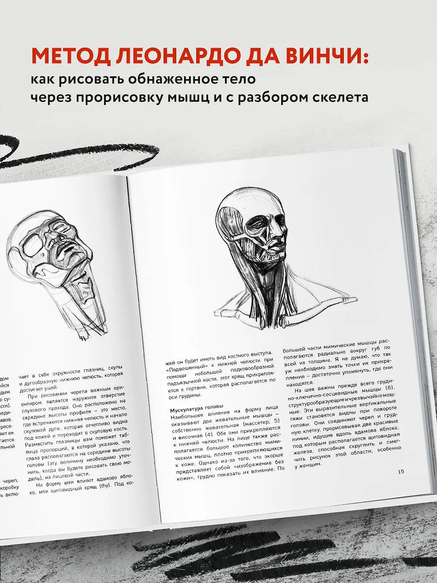 МОРФО. Анатомия для художников (Мишель Лауричелла) - купить книгу с ...
