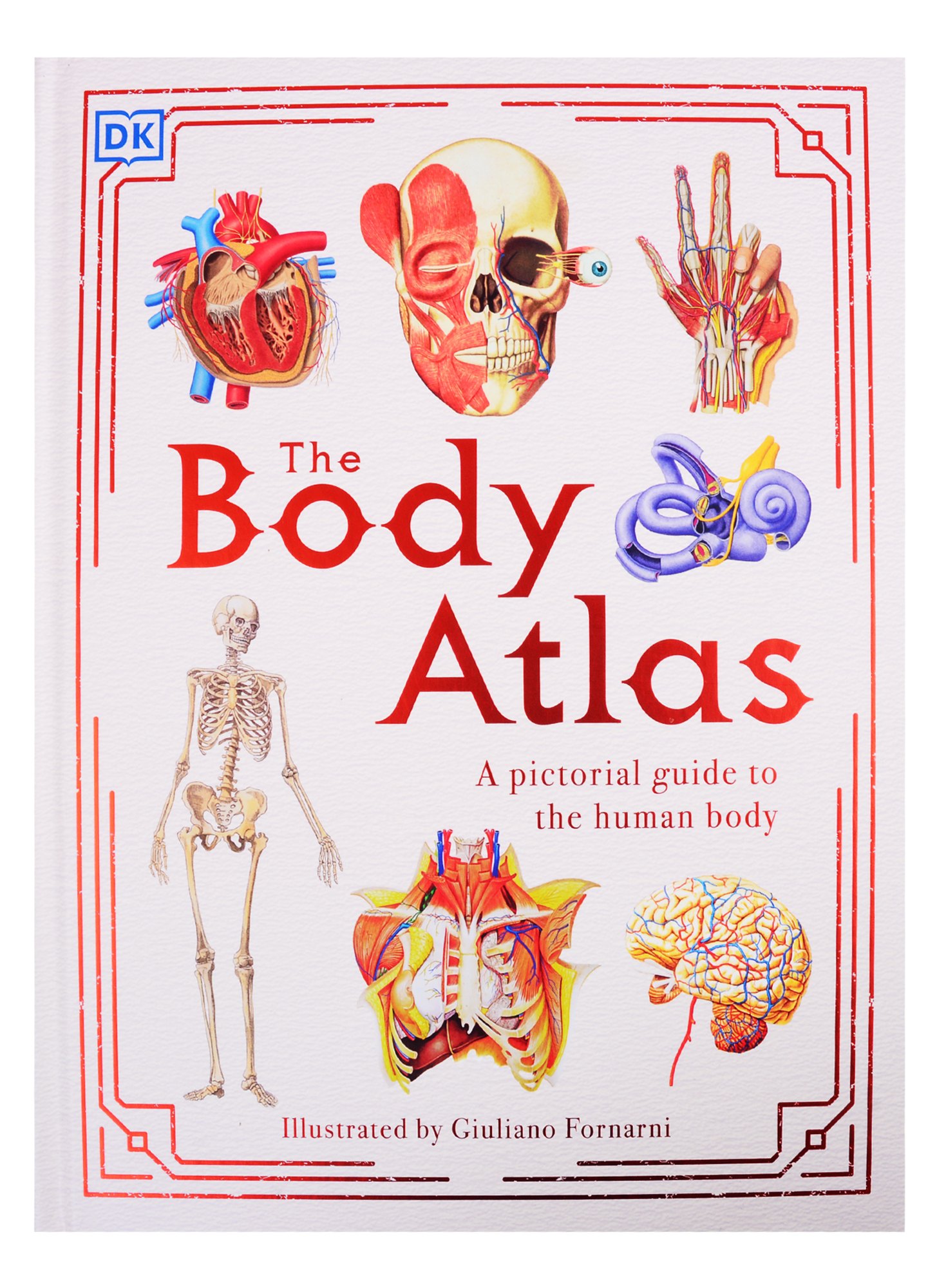 

The Body Atlas