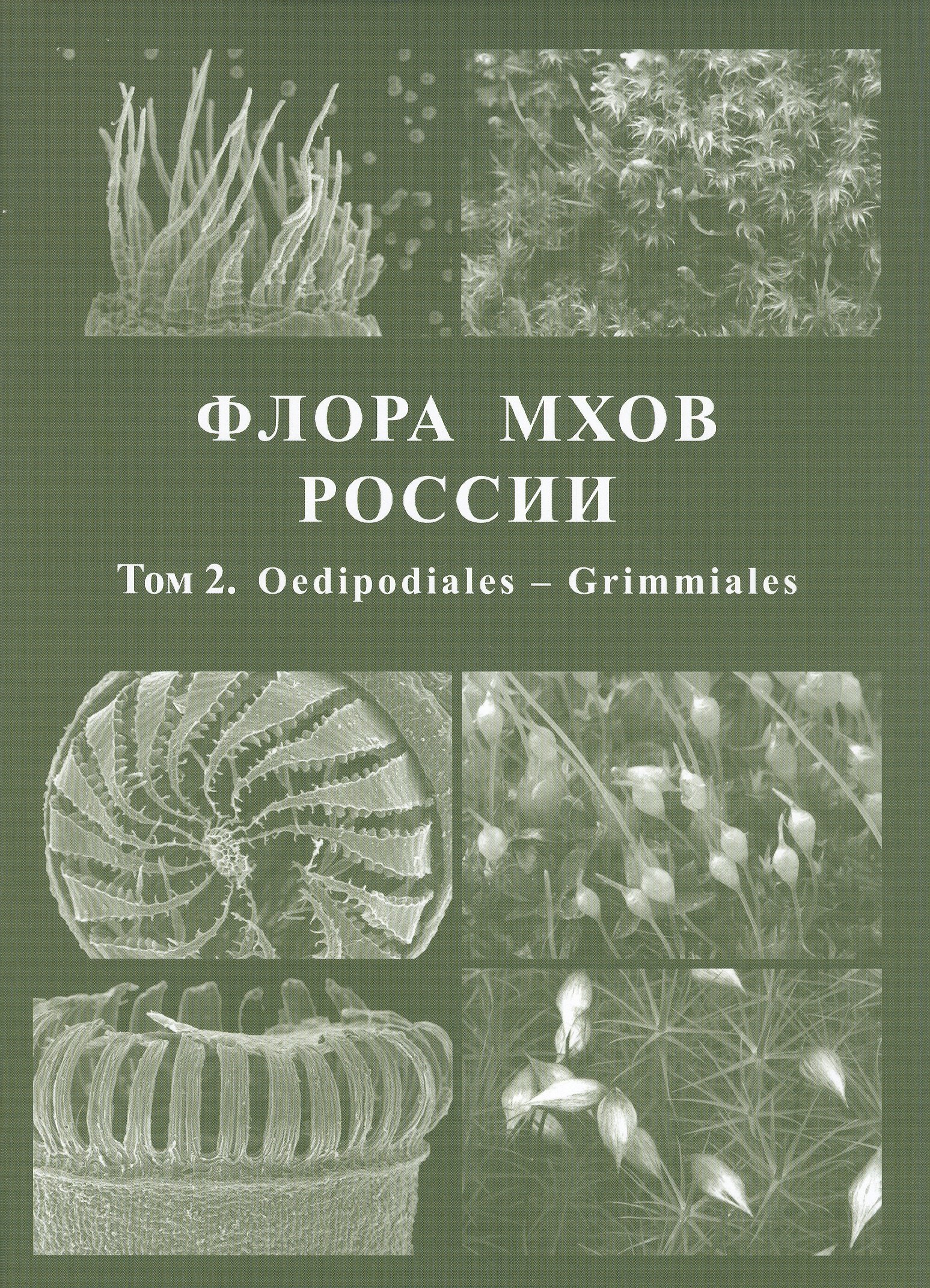 Игнатов М. Флора мхов России. Том 2. Oedipodiales - Grimmiales флора мхов средней части европейской россии том 1 sphaghaceae hedwigiaceae