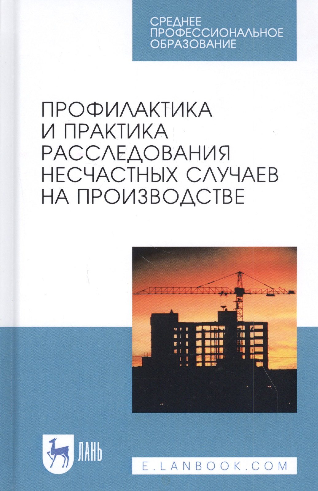 

Профилактика и практика расследования несчастных случаев на производстве. Учебное пособие
