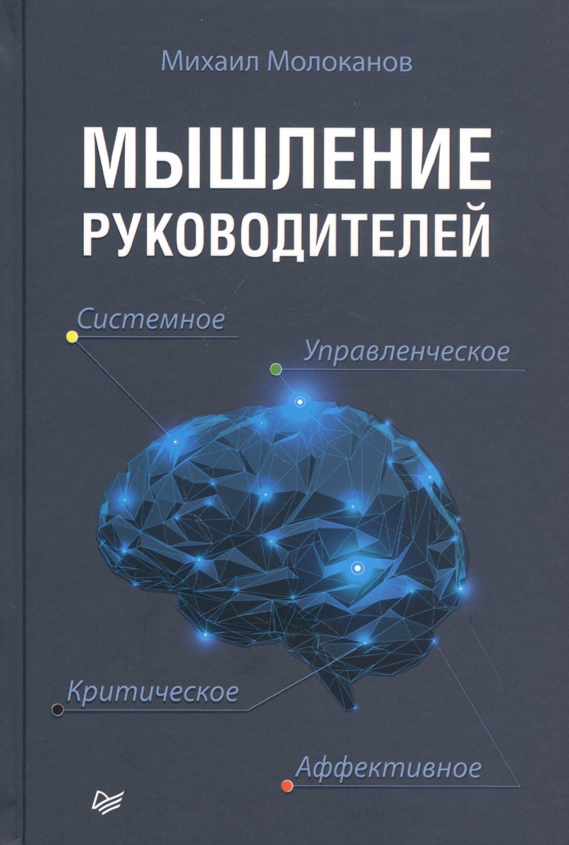 

Мышление руководителей: системное, управленческое, критическое, аффективное