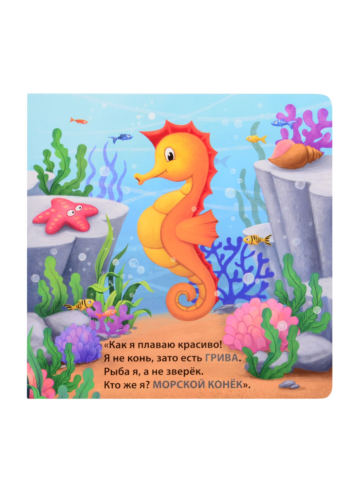 Загадка в воде живет нет клюва. Книжки - картонки (бол). кто живёт в воде. загадки-рифмы. робинс. книга загадки - рифмы &quot;кто живет в воде&quot;. загадка в воде мы живём. загадки о водных животных.