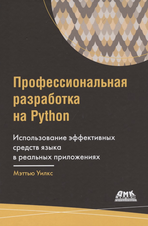 Профессиональная разработка на Python вестра эрик разработка геоприложений на языке python