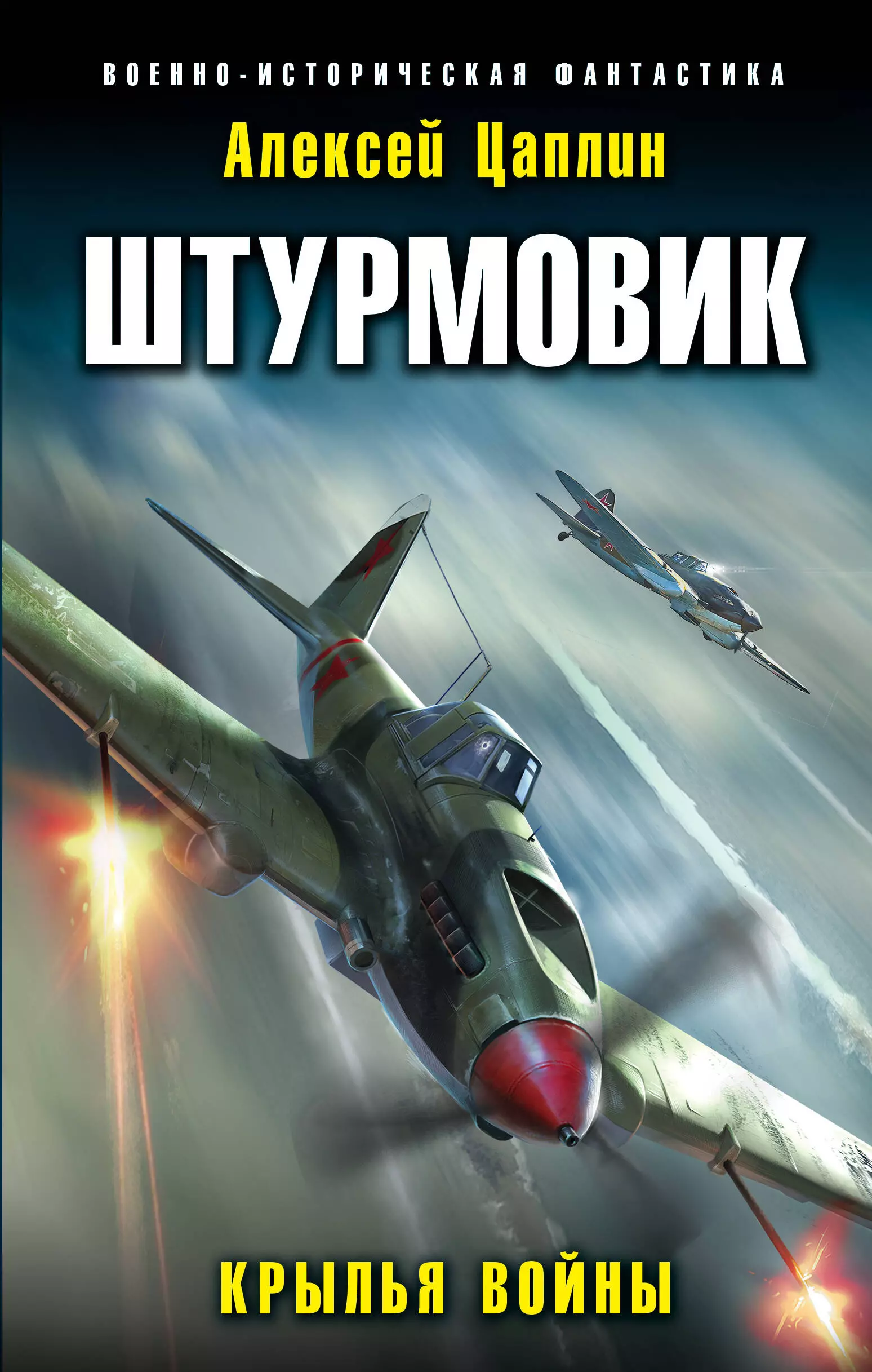 Цаплин Алексей Г. - Штурмовик. Крылья войны