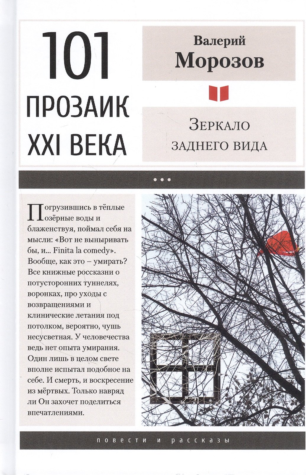 

Зеркало заднего вида: Повести, рассказы