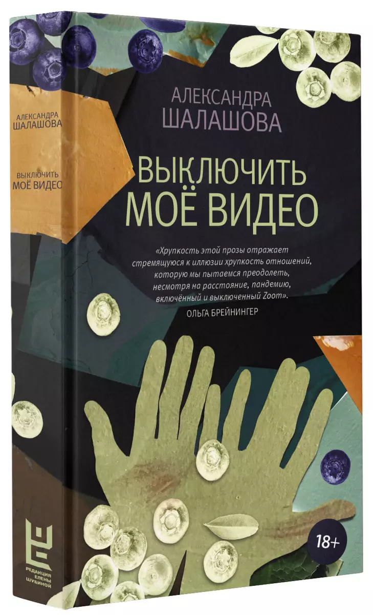 Выключить мое видео (Александра Шалашова) - купить книгу с доставкой в  интернет-магазине «Читай-город». ISBN: 978-5-17-137271-2