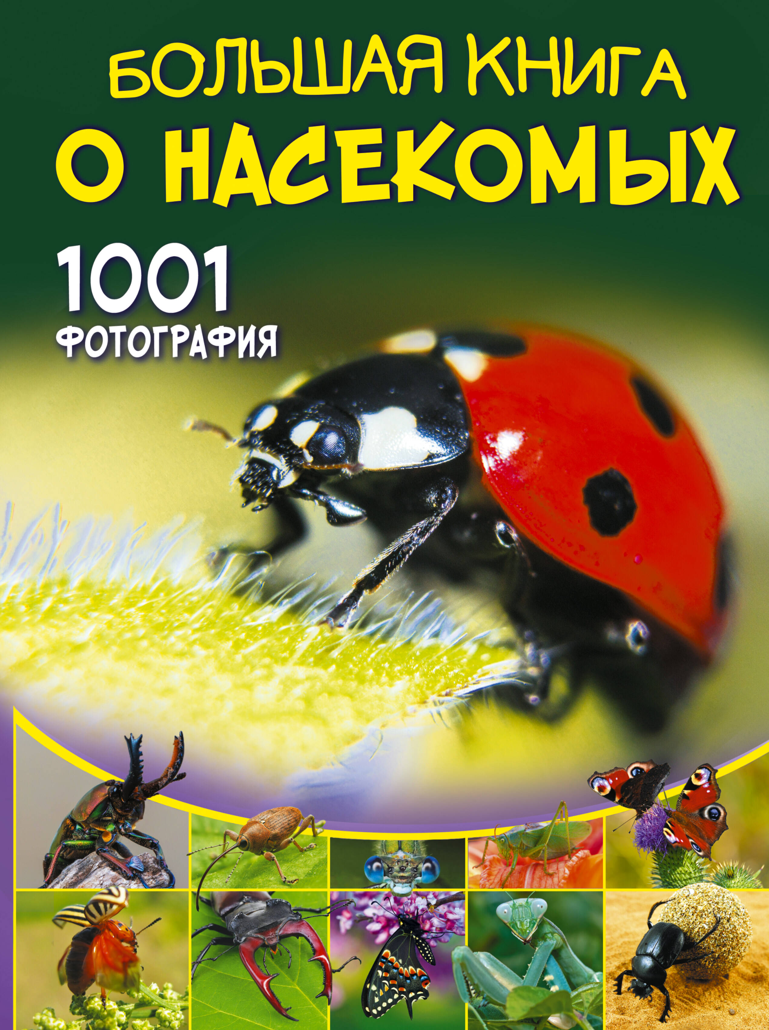 Большая книга о насекомых. 1001 фотография 1001 фотография большая книга о растениях резько и в