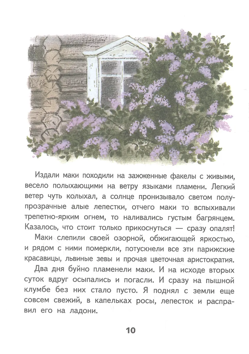 Краткое содержание рассказа пламя. Клумба из рассказа живое пламя рисунок. носов живое пламя клумба. носов живое пламя илл.