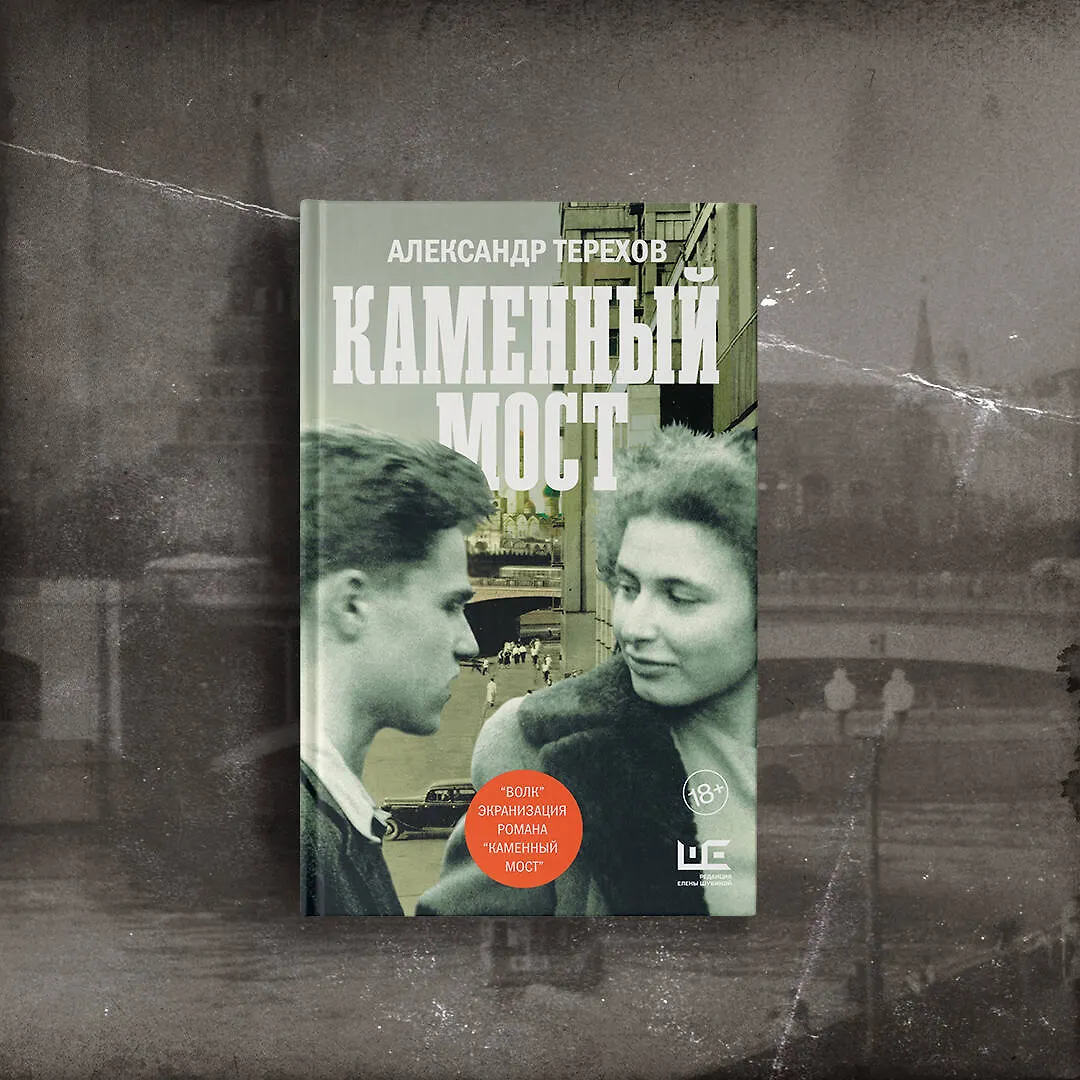 Каменный мост (Александр Терехов) - купить книгу с доставкой в интернет ...