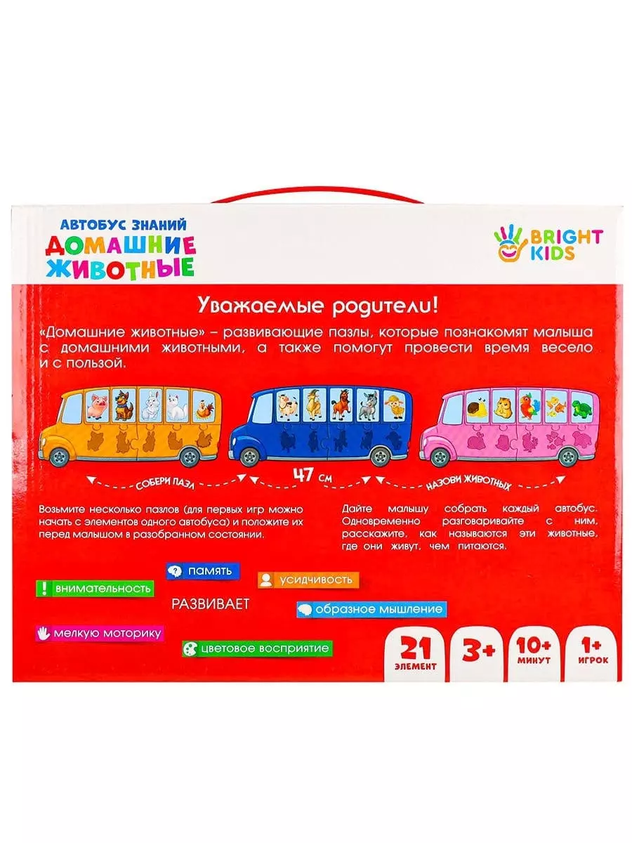 Настольная игра BRIGHT KIDS. Автобус знаний. ДОМАШНИЕ ЖИВОТНЫЕ (2864142)  купить по низкой цене в интернет-магазине «Читай-город»