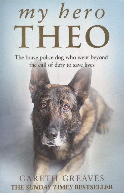 

My Hero Theo