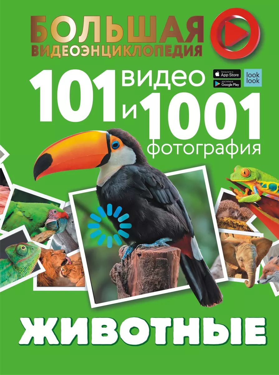 Животные. 101 видео и 1001 фотография (Любовь Вайткене) - купить книгу с  доставкой в интернет-магазине «Читай-город». ISBN: 978-5-17-135267-7