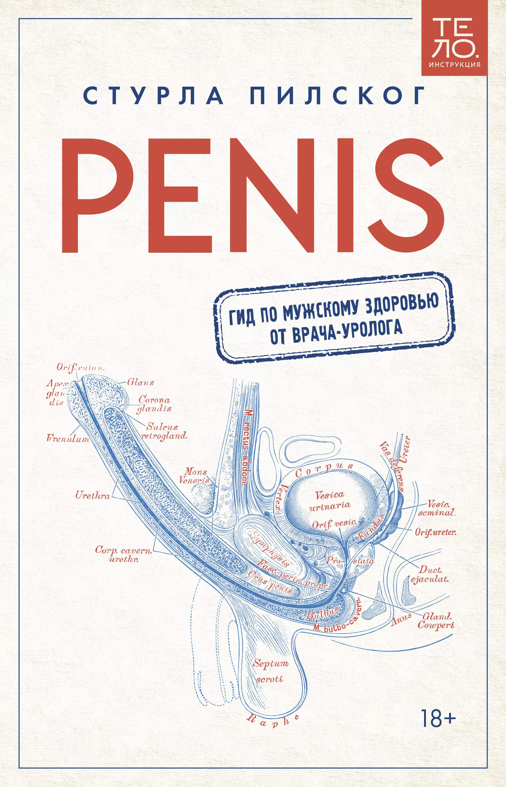 Пилског Стурла Penis. Гид по мужскому здоровью от врача-уролога
