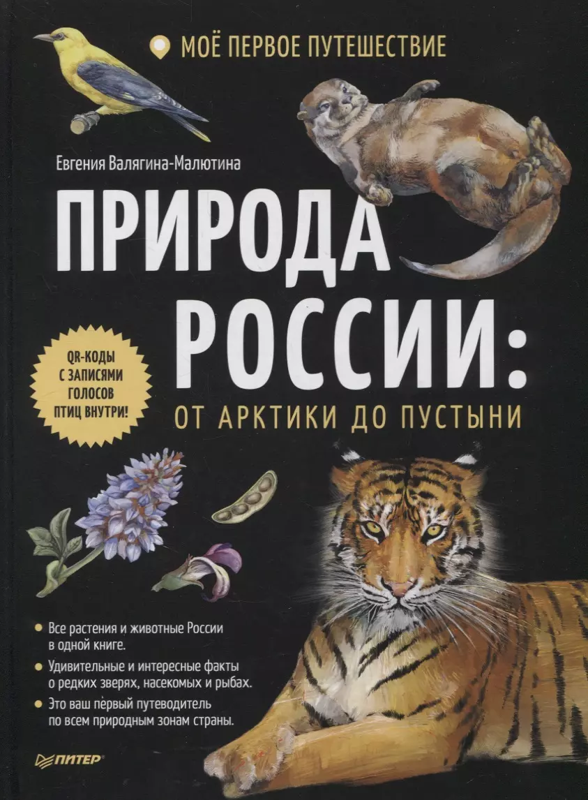 

Природа России: от Арктики до пустыни. Моё первое путешествие. Записи голосов птиц - внутри под QR-кодом!