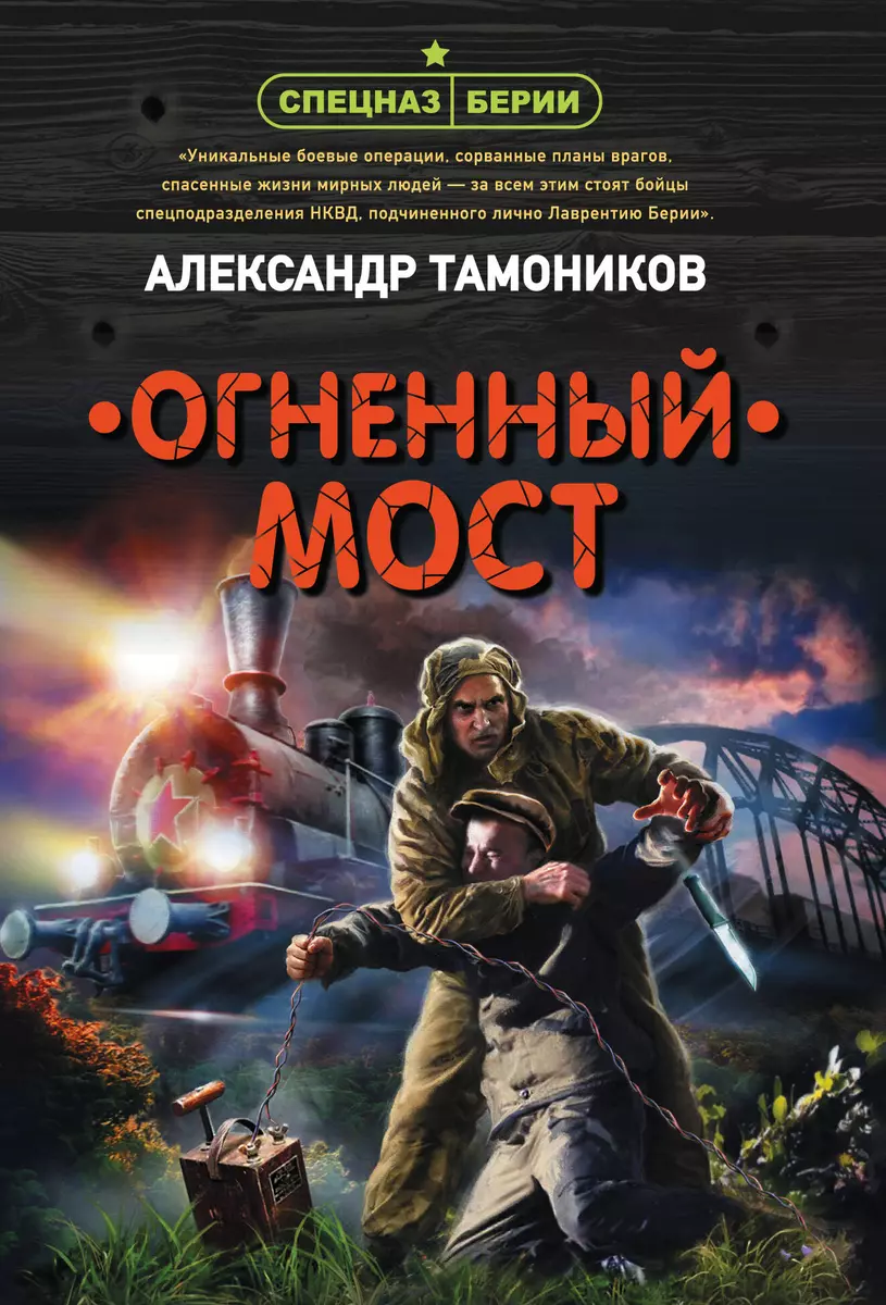 Огненный мост (Александр Тамоников) - купить книгу с доставкой в  интернет-магазине «Читай-город». ISBN: 978-5-04-156281-6