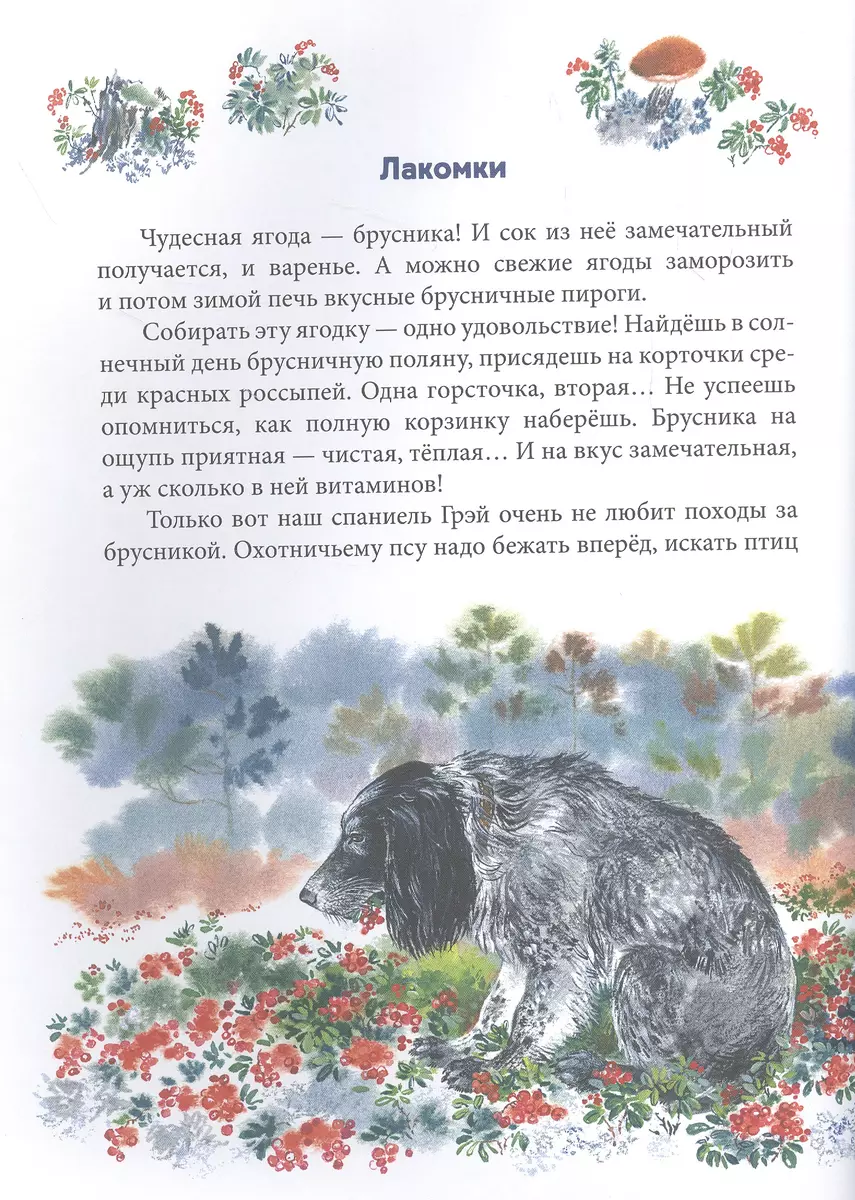 Зеркальный дом озёрной чайки (Евгения Чарушина-Капустина) - купить книгу с  доставкой в интернет-магазине «Читай-город». ISBN: 978-5-90-568280-3