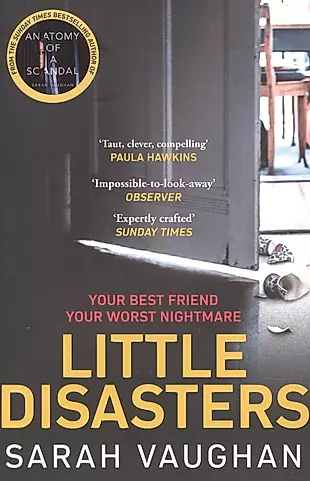Little Disasters  — 2890562 — 1