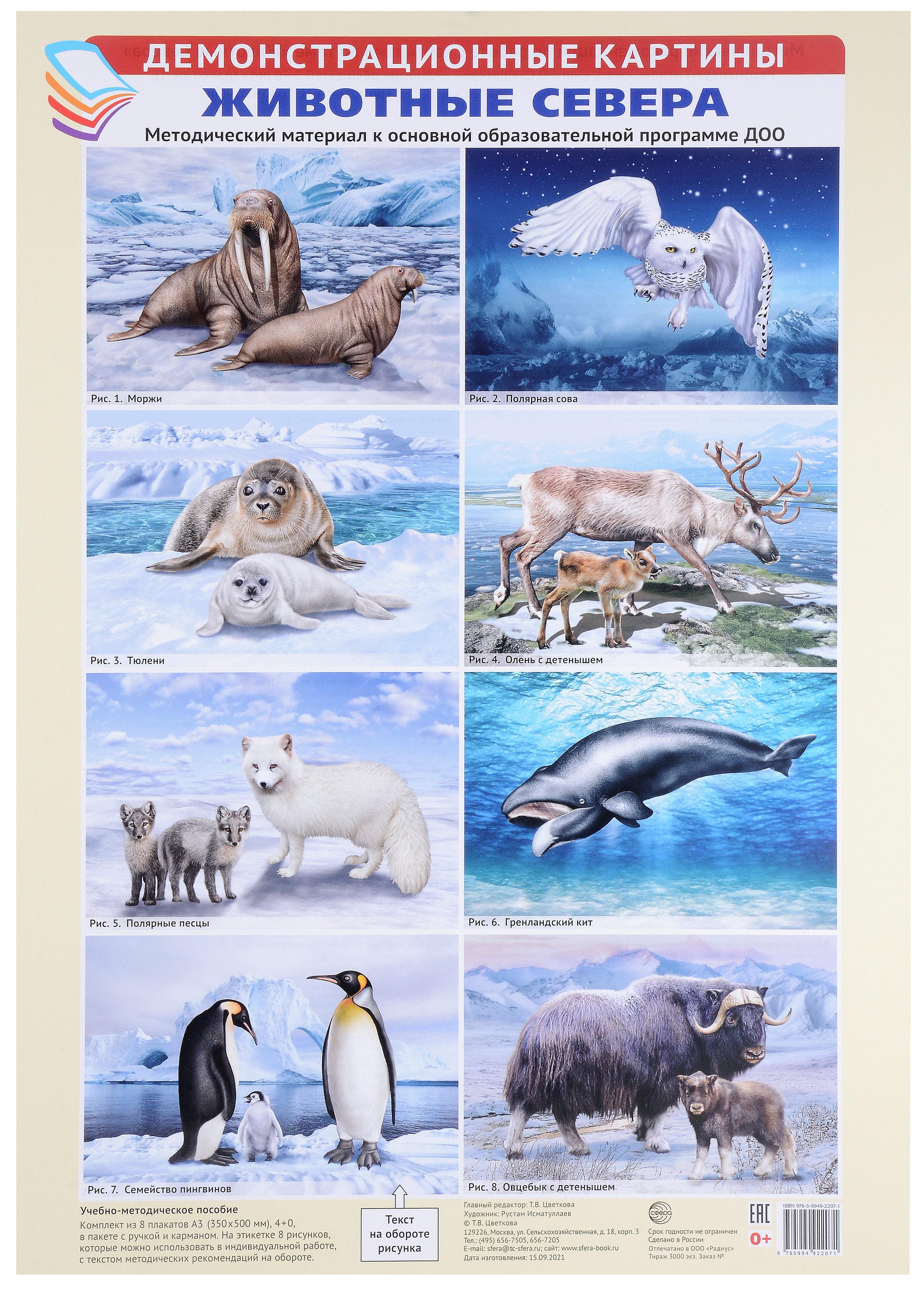 Демонстрационные картины «Животные Севера» (8 картин+этикетка с текстом) демонстрационные картины дикие животные