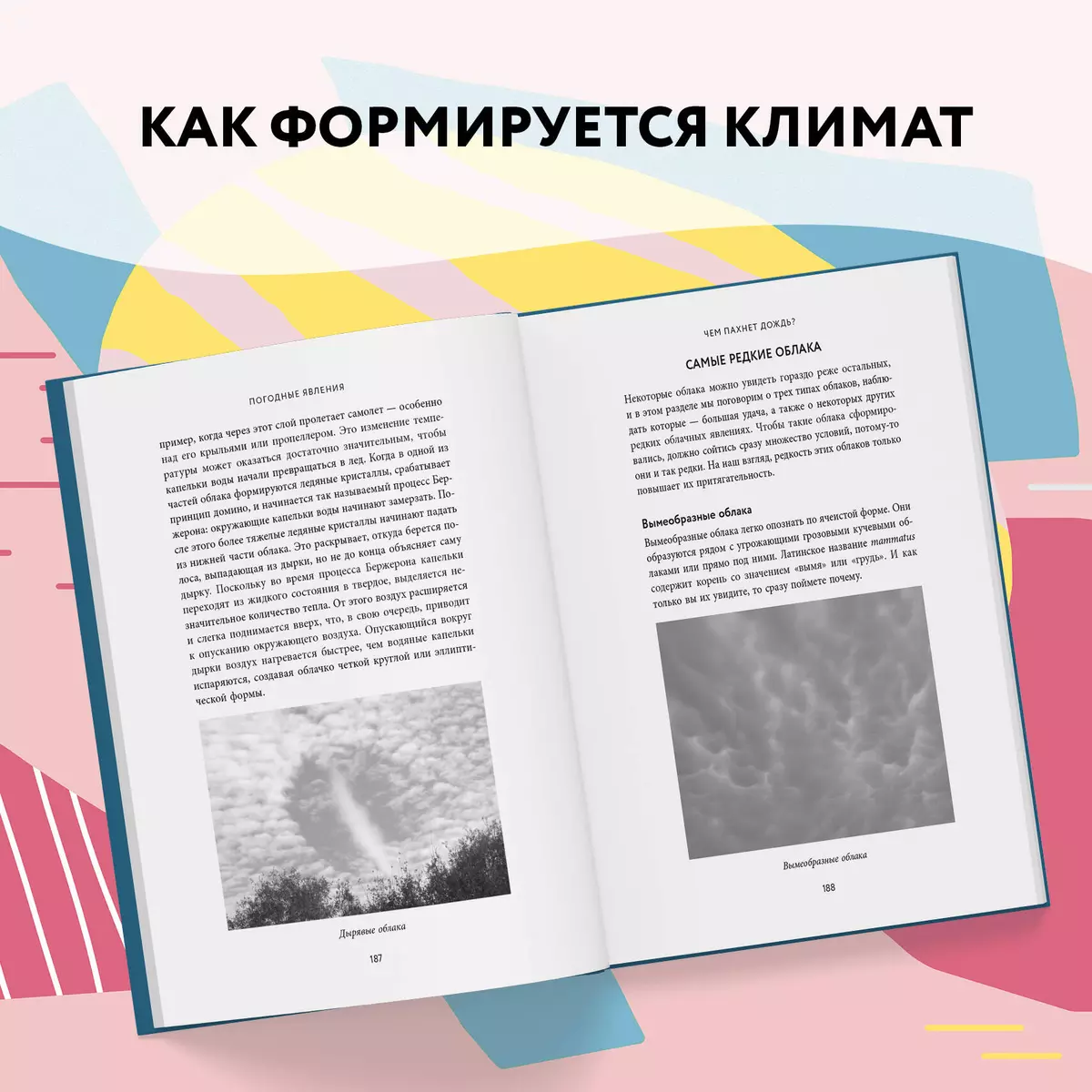 Чем пахнет дождь? (Саймон Кинг) - купить книгу с доставкой в  интернет-магазине «Читай-город». ISBN: 978-5-04-111679-8