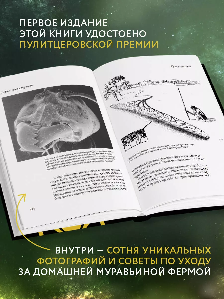 Путешествие к муравьям (Эдвард Уилсон) - купить книгу с доставкой в  интернет-магазине «Читай-город». ISBN: 978-5-04-155921-2