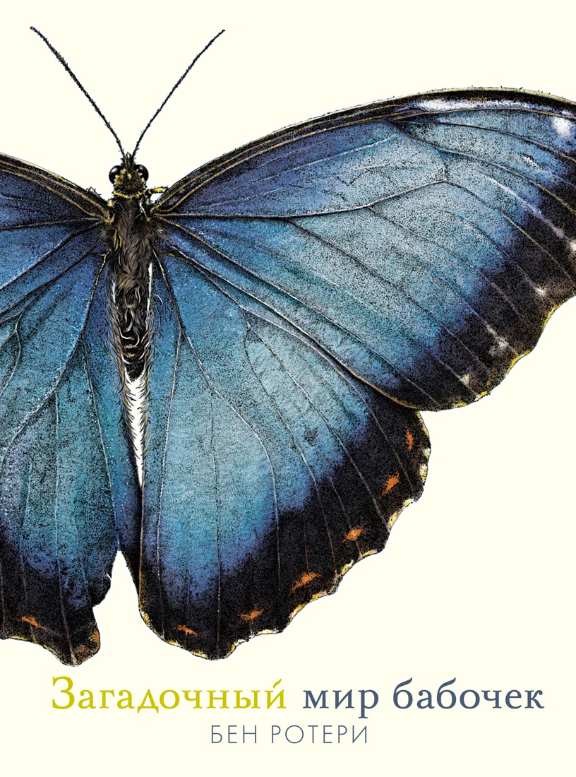 погадаев в загадочный мир индонезии Ротери Бен Загадочный мир бабочек