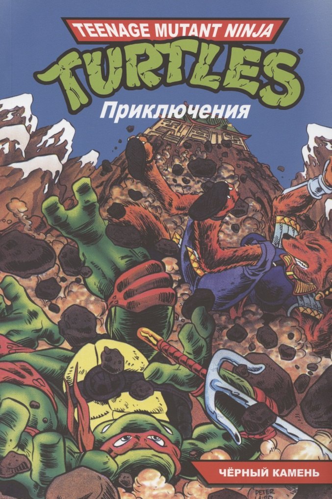 

Черепашки-Ниндзя: Приключения. Книга 9. Чёрный камень