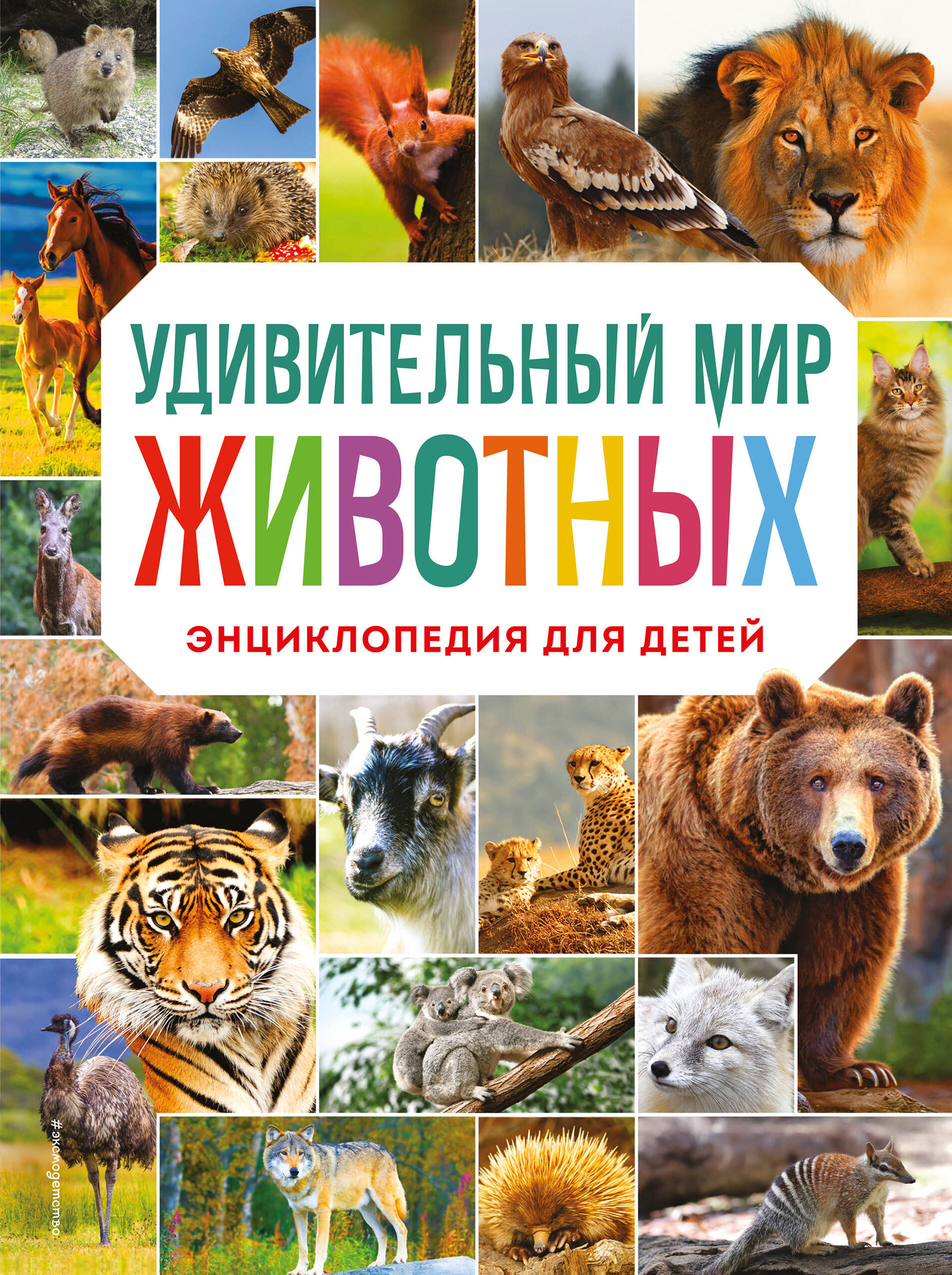 Баранова Наталия Николаевна Удивительный мир животных. Энциклопедия для детей