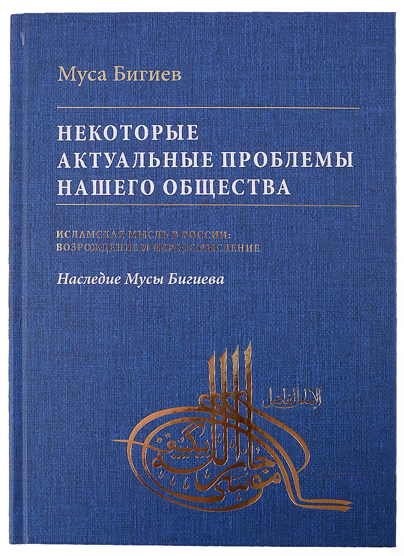 Бигиев Муса Яруллович - Некоторые актуальные проблемы нашего общества