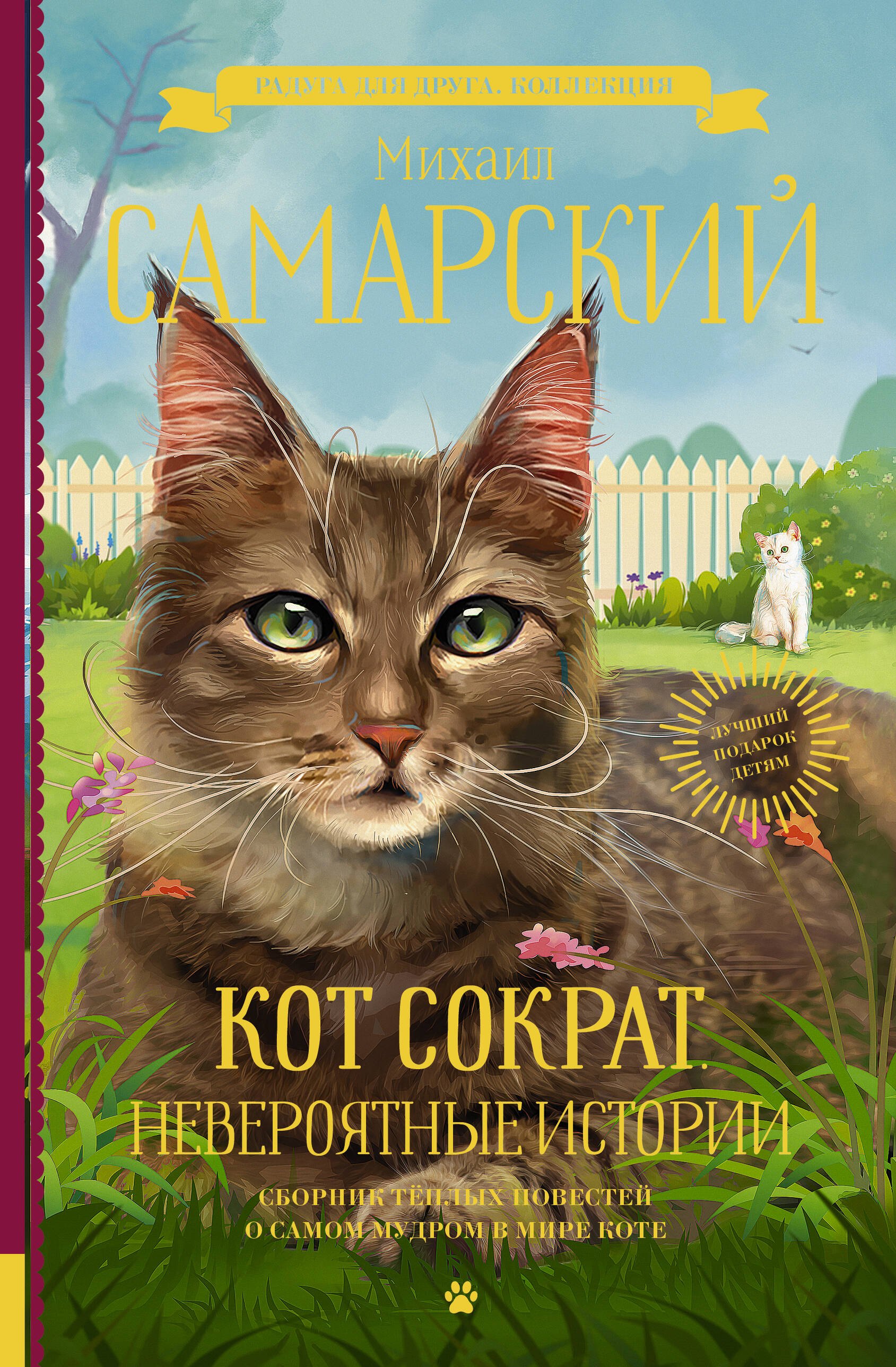 

Кот Сократ. Невероятные истории