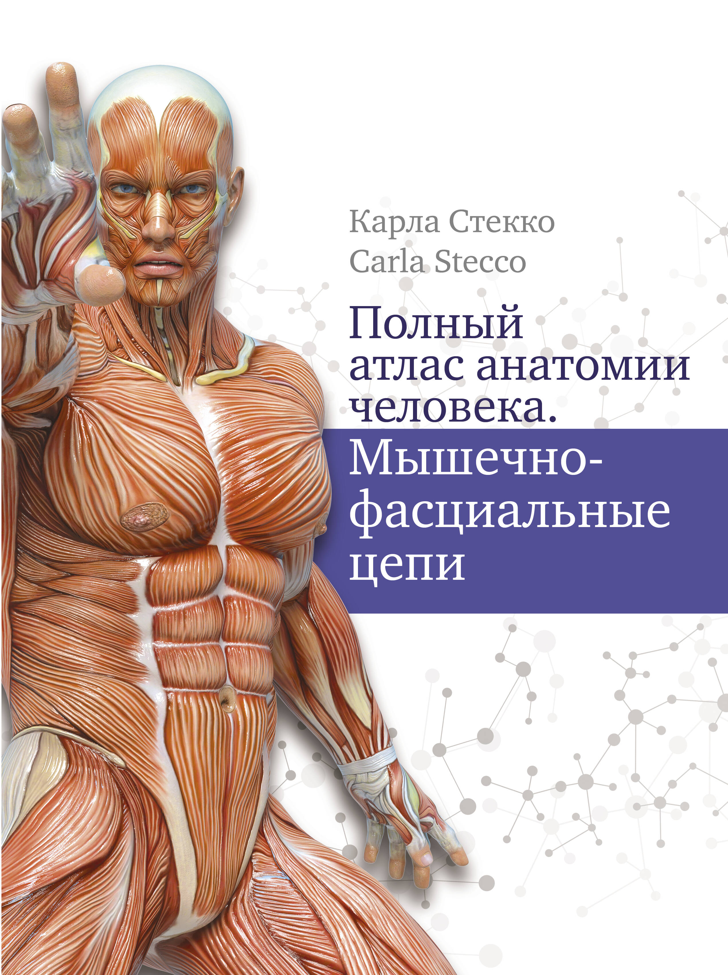 Стекко Карл Полный атлас анатомии человека. Мышечно-фасциальные цепи