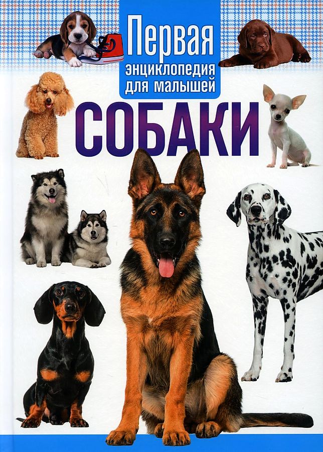 Собаки. Первая энциклопедия для малышей первая энциклопедия для малышей многоразовый альбом