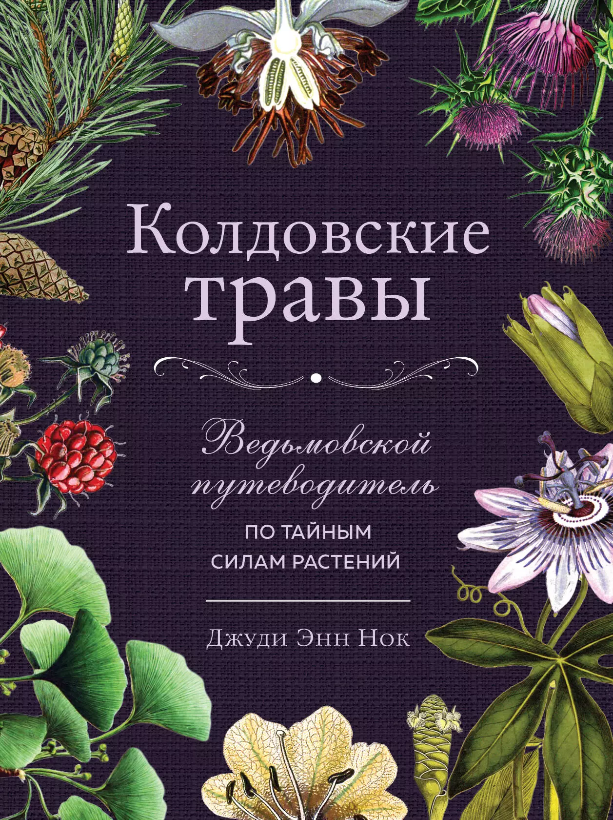 Нок Джуди Энн - Колдовские травы. Ведьмовской путеводитель по тайным силам растений