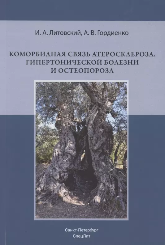 Гордиенко Александр Волеславович, Литовский Игорь Анатольевич - Коморбидная связь атеросклероза, гипертонической болезни и остеопороза