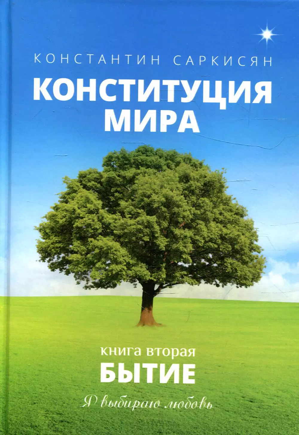 Саркисян Константин Владиславович - Конституция мира. Бытие. Книга 2