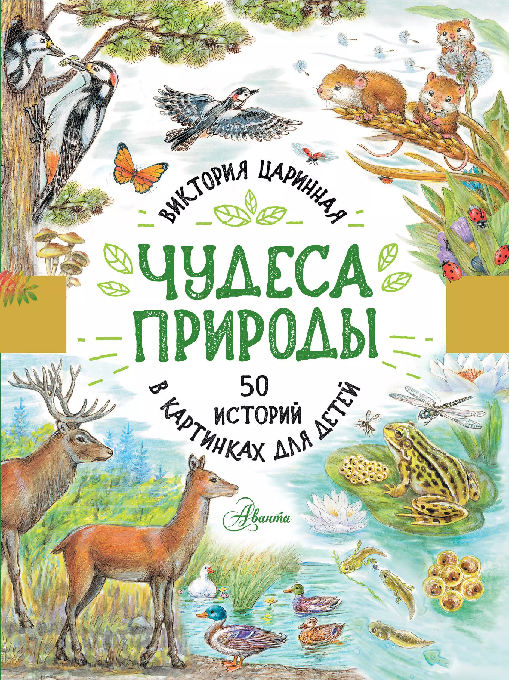 Царинная Виктория Анатольевна Чудеса природы. 50 историй в картинках для детей