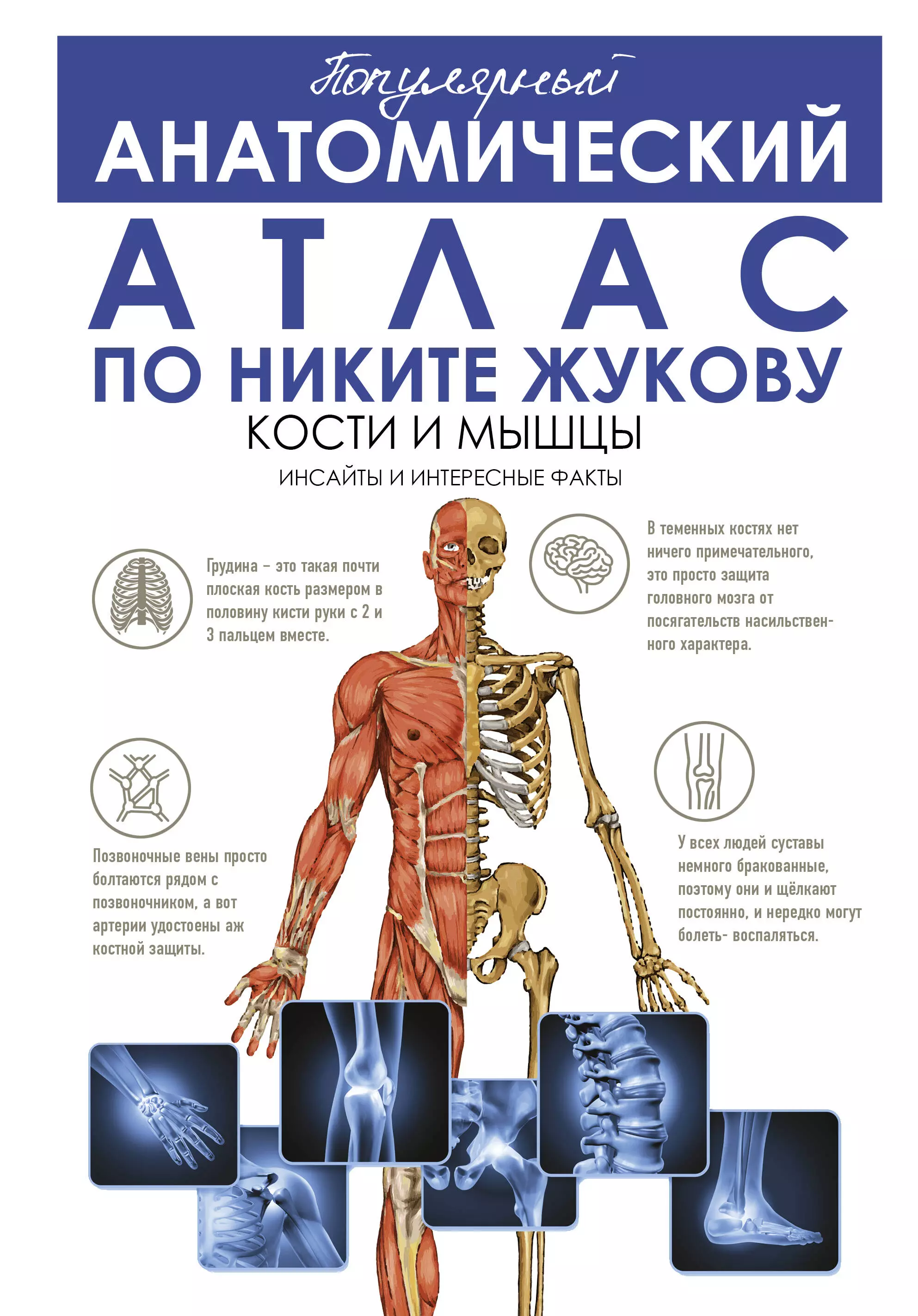 жуков никита эдуардович популярный анатомический атлас по никите жукову кости и мышцы инсайты и интересные факты Жуков Никита Эдуардович Популярный анатомический атлас по Никите Жукову. Кости и мышцы. Инсайты и интересные факты