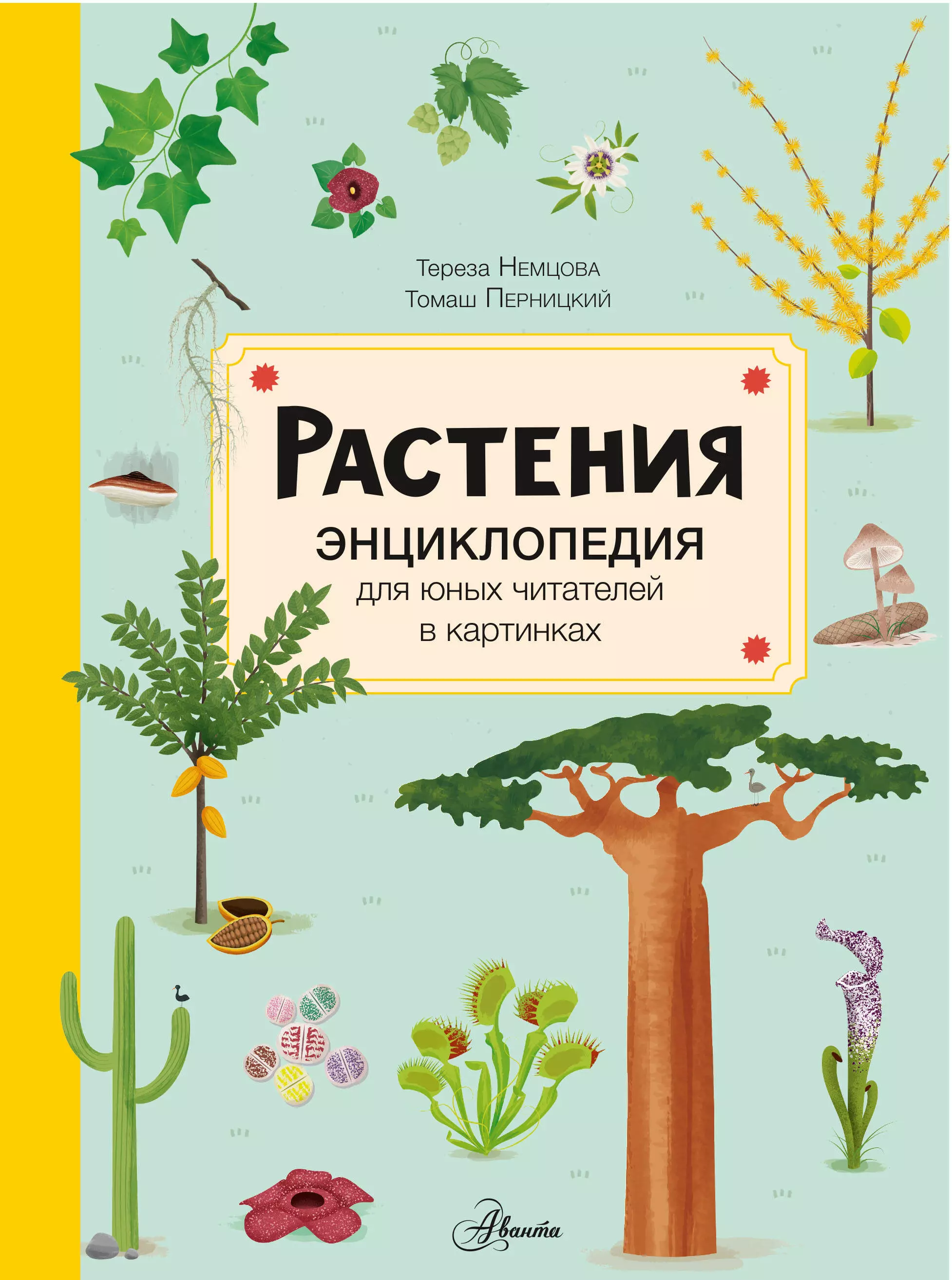 Немцова Тереза - Растения. Энциклопедия для юных читателей в картинках