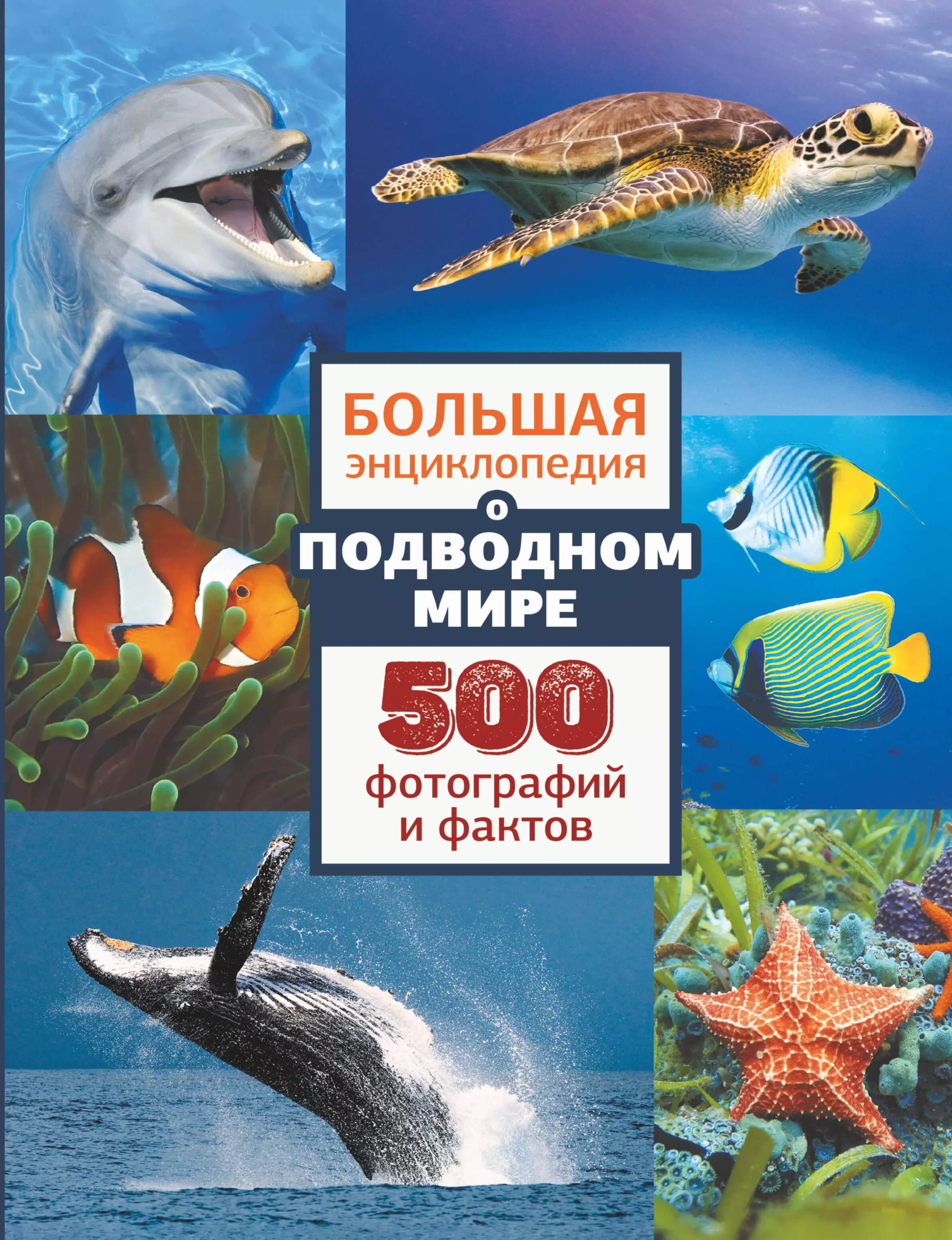 Мороз Анна Ивановна, Ликсо Вячеслав Владимирович, Вайткене Любовь Дмитриевна - Большая энциклопедия подводном мире. 500 фотографий и фактов