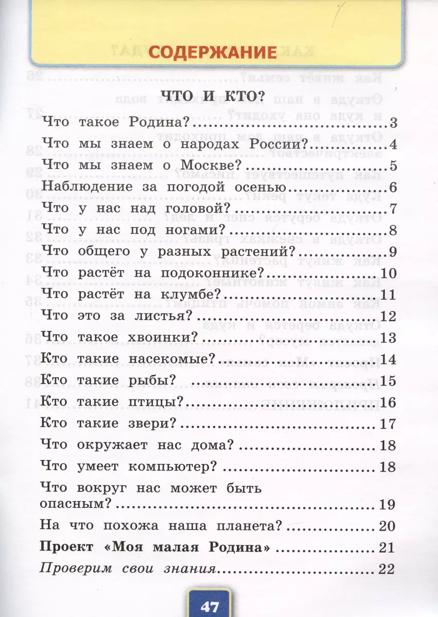 Окружающий мир. Рабочая тетрадь №1. 1 класс. К учебнику А.А. Плешакова 