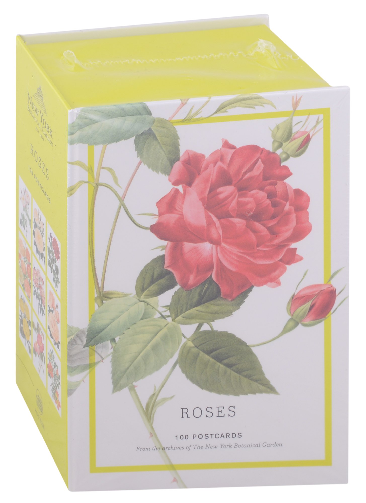

Roses: 100 Postcards from the Archives of The New York Botanical Garden