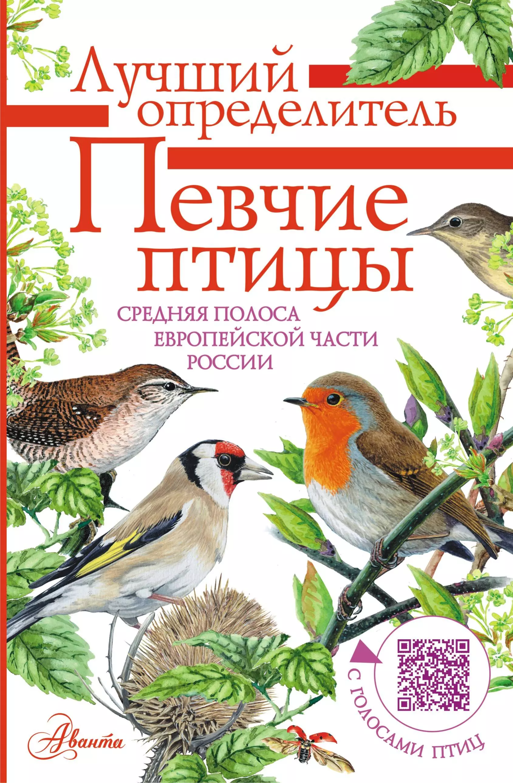 Певчие птицы России с голосами птиц l8062 весенние певчие птицы
