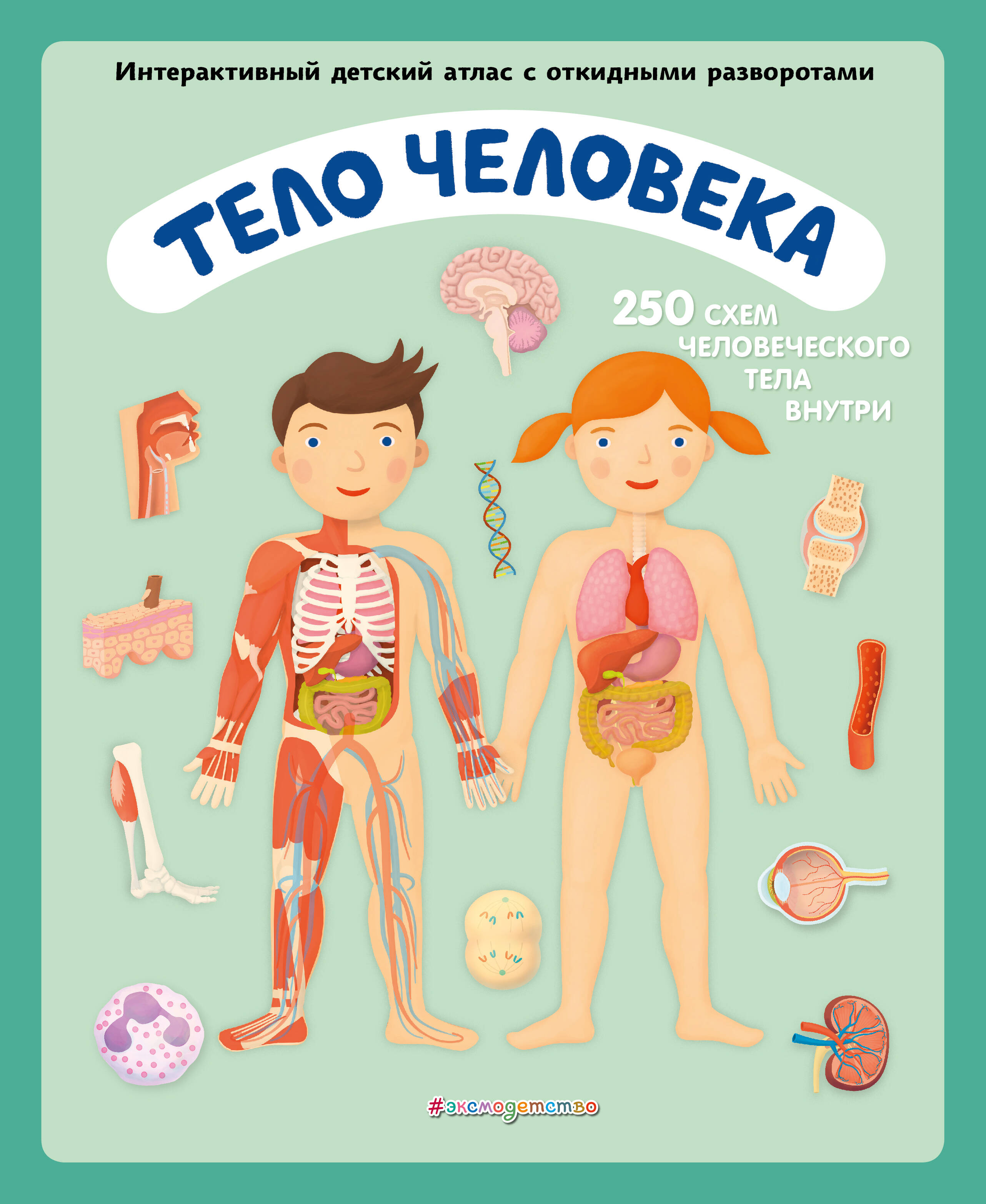 Ружичка Олдрих Тело человека. Интерактивный детский атлас с откидными разворотами цена и фото