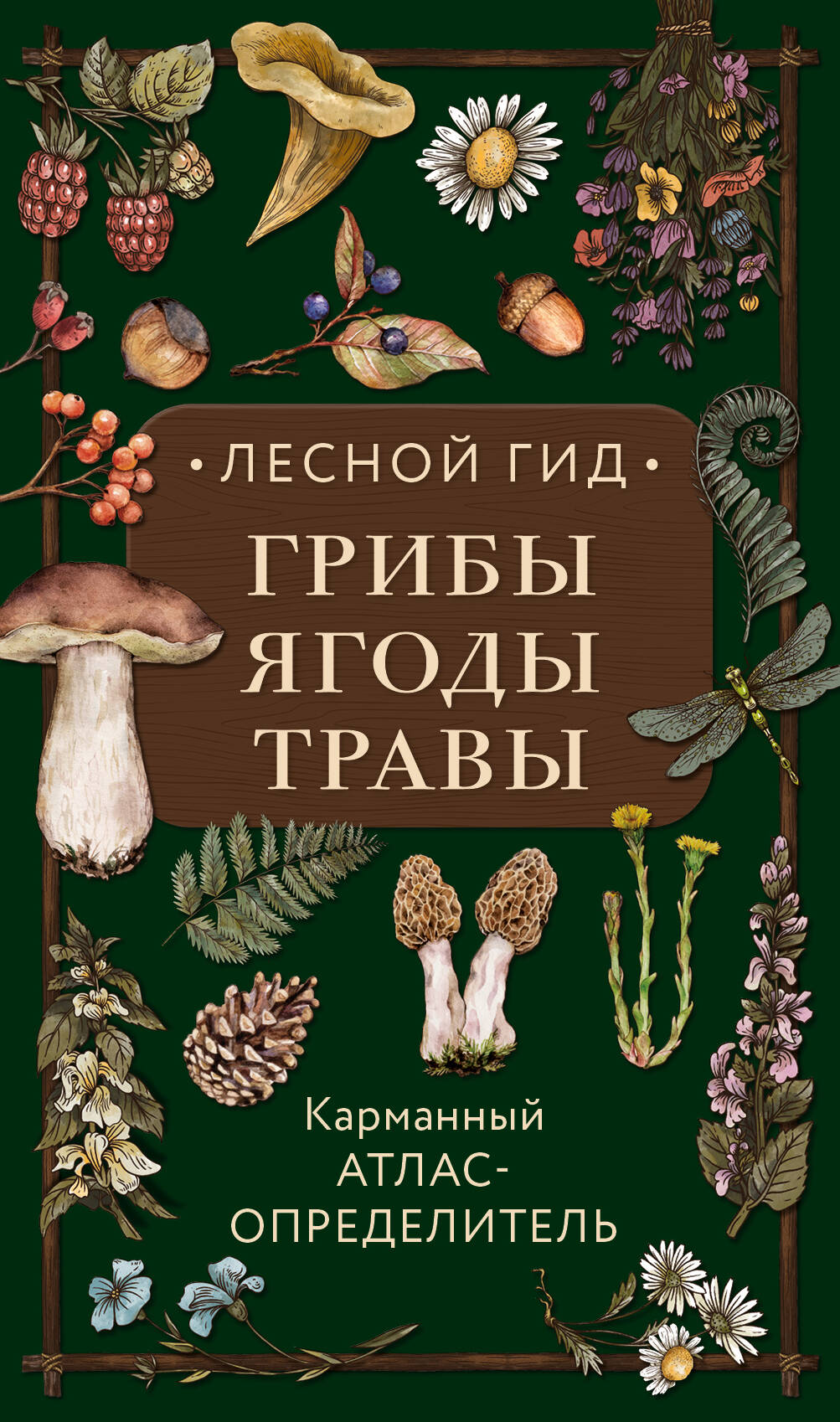 Лесной гид: грибы, ягоды, травы. Карманный атлас-определитель семенова людмила семеновна лесной гид грибы ягоды травы карманный атлас определитель