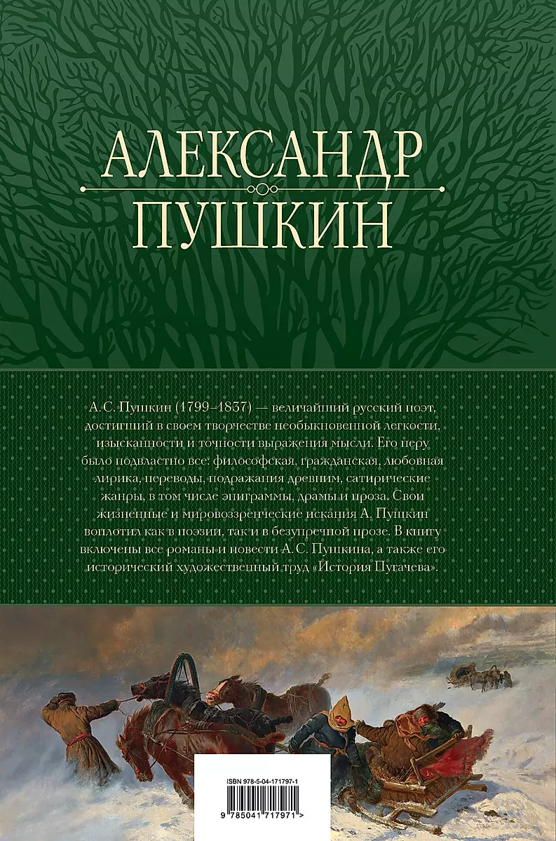 Александр Пушкин Братья-разбойники скачать книгу fb2 txt бесплатно, читать текст онлайн, отзывы