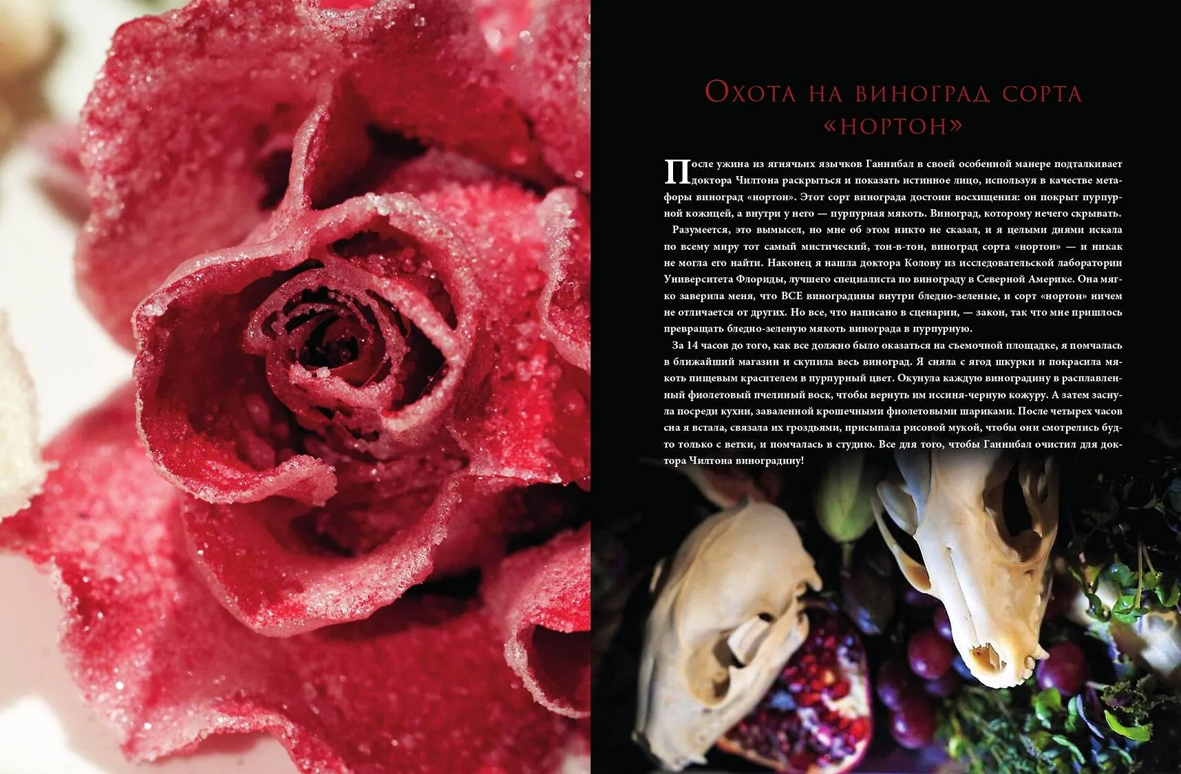 Накормить Ганнибала. Поваренная книга ценителя (Дженис Пун) - купить ...