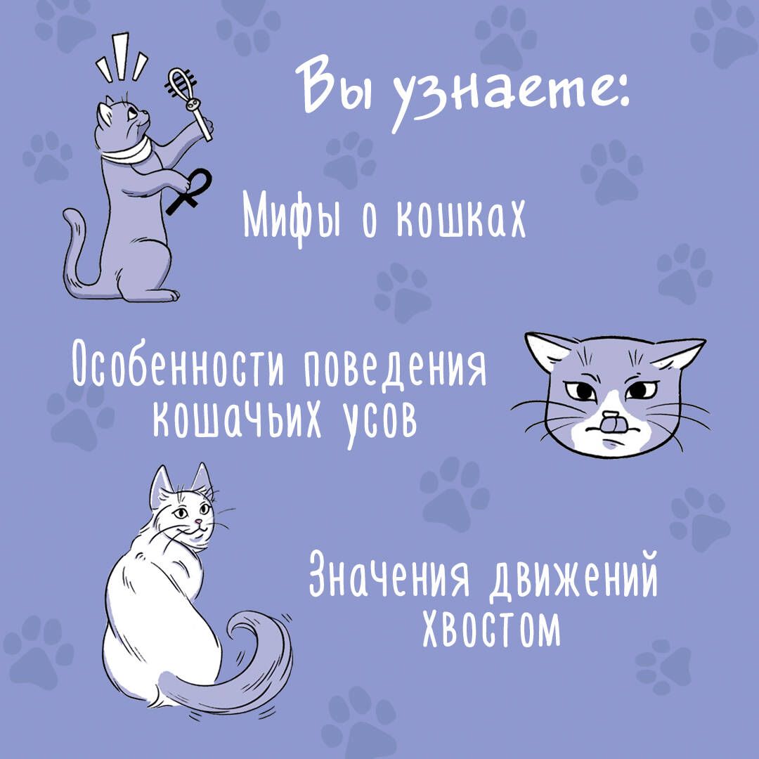 Я тебя понимяу. Как понять язык кошки (Анна Орлова) - купить книгу с  доставкой в интернет-магазине «Читай-город». ISBN: 978-5-17-152125-7