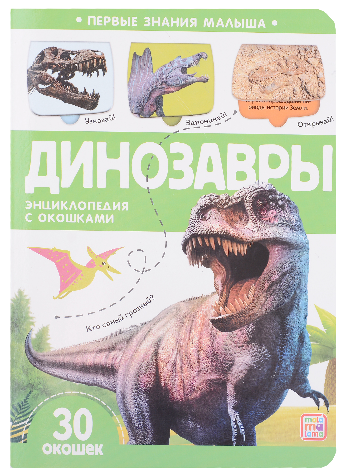 Динозавры: книжка с окошками динозавры книжка с набором моделей